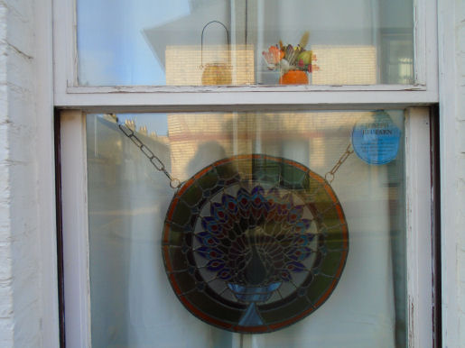 2024 Gwydir St Halloween window